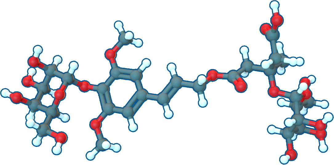 Image of Tangshenoside I | C29H42O18 | Supreme Pharmatech